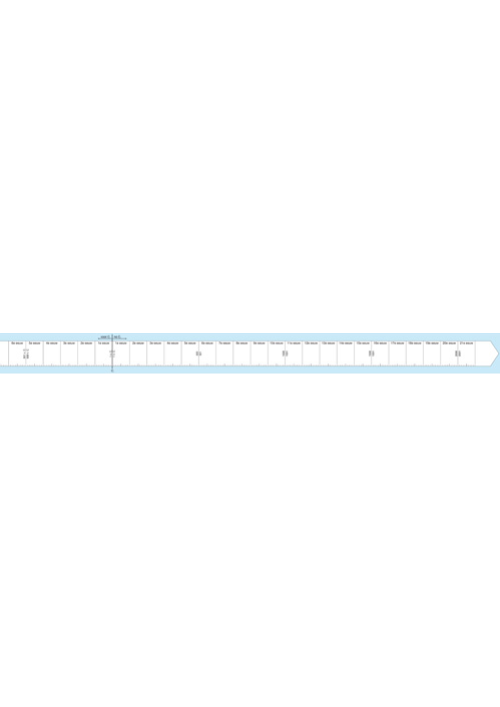 Eeuwband 4 (25 x 250 cm)
