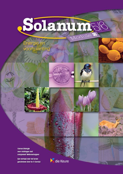 Solanum 5/6 - KathOndVla - met component wetenschappen - module 2