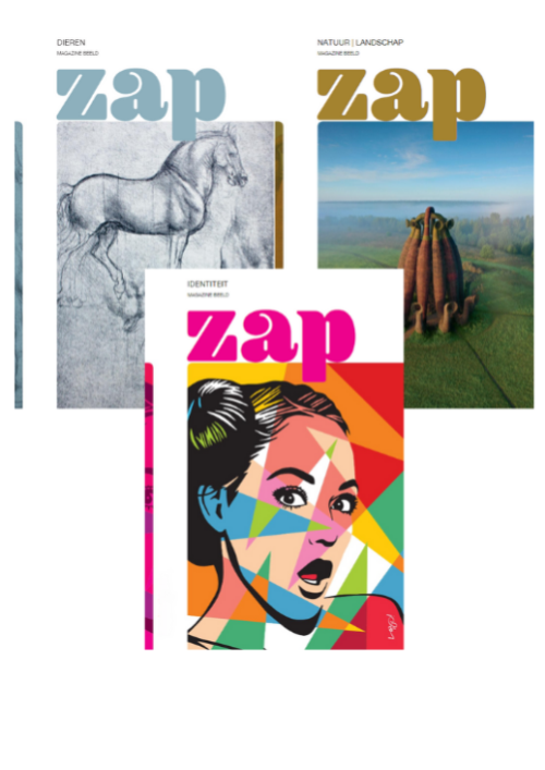 ZAP - set modules